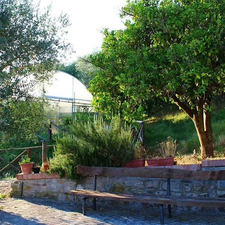 Casale Degli Ulivi Farm stay