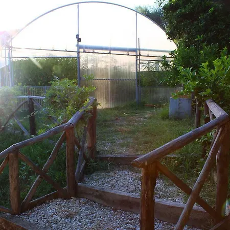 Bauernhof Casale Degli Ulivi