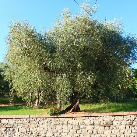Casale Degli Ulivi Farm stay