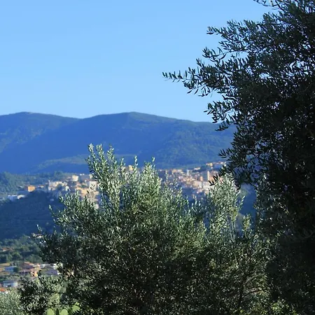 Casale Degli Ulivi